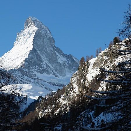 Bolero 4.5 Dachzimmerwohnung Zermatt Esterno foto